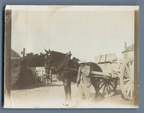 France cheval attelé une - france,,