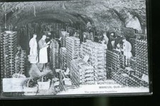 MAREUIL SUR AY CHAMPAGNE