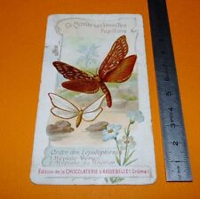 CHROMO CHOCOLAT AIGUEBELLE 1900-1914 MONDE INSECTES PAPILLONS HEPIALE VENUS 