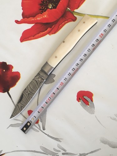 Couteau modèle alpin lame - modèle,
