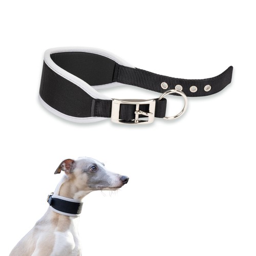 Collier chien ergocomfort - collier,