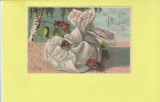 CPA LES HANNETONS CACHES DANS LE TORCHON....