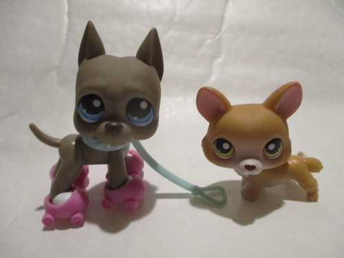 Petshop duo chien corgi - duo,