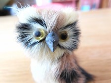 chouette hibou en poils