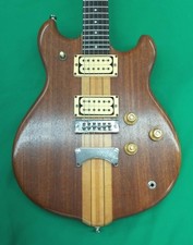 Guitare électrique (The