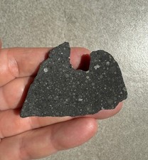 Meteorite chondrite NWA 15970
