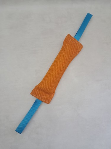 Boudin orange mordant chien