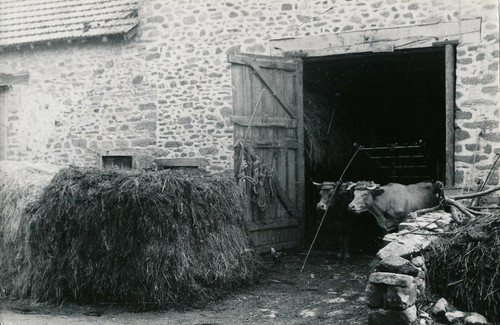 Massif central 1938 - massif, c.