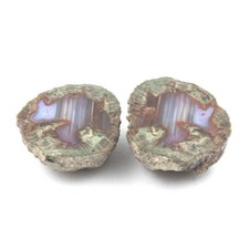 Lithophyse. 115.5 ct. Massif