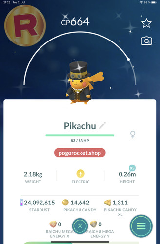 Shiny pikachu yellow - pikachu, googles