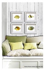 Poisson Tropical Motifs Lot De