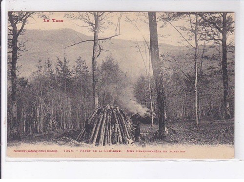 Tarn bois forêt - tarn:, la