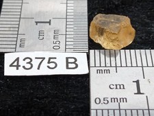 TOPAZE IMPERIALE du Brésil