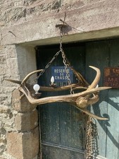 Superbe Grand Ancien Lustre Bois De Cerfs Chalet Chasse Nature 