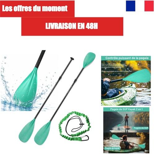 Begrit pagaie paddle 1 - begrit,
