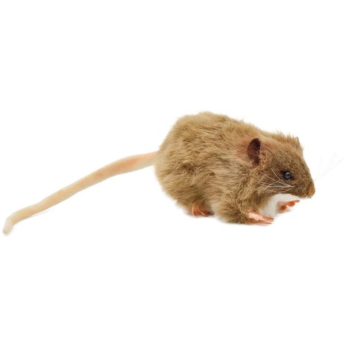 Peluches réalistes hansa rat - réalistes,