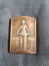 Médaille  en bronze  DELANNOY  "comptoir  français de l'azote" .