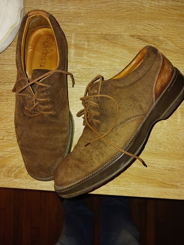 Chaussures lacoste pointure - chaussures,