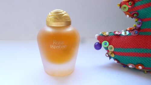 Rare miniature rose - rare,