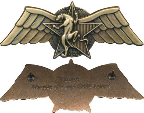Brevet combat choc - combat,
