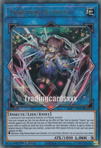Traptrix atypus ur - :,