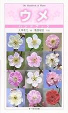 Plum Prunus mume Handbook 120