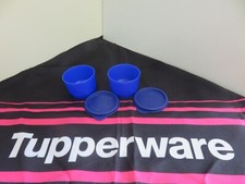 LOT 2 RAMEQUINS BLEUS 160ML