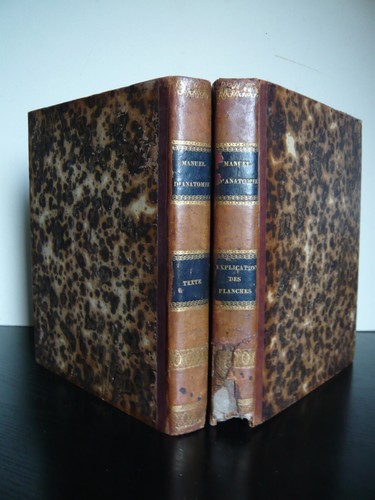 Cloquet manuel d anatomie - j., cloquet-manuel