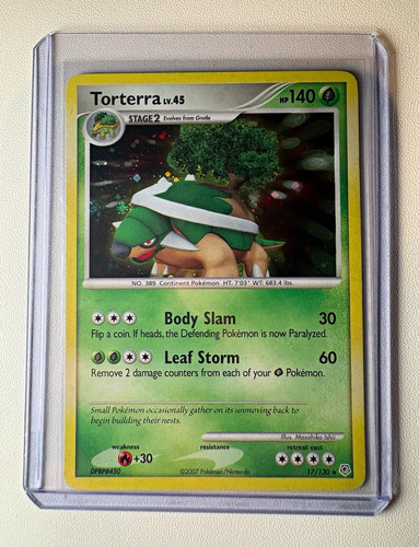 The pokémon company - the, torterra