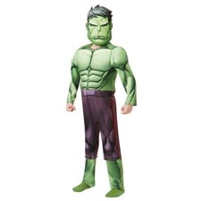 Costume De Carnaval HULK