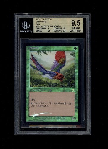 Mtg bgs foil birds - bgs, of
