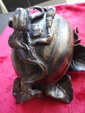 CUCURBITACEE ET SA FEUILLE EN