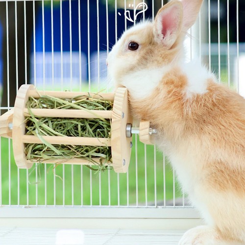Mangeoire foin pour - à, lapin
