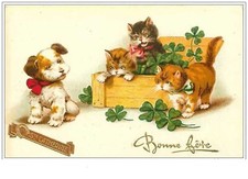 CHATS.n°1914.CHATONS DANS UNE CAISSE DE TREFLES ET CHIOT