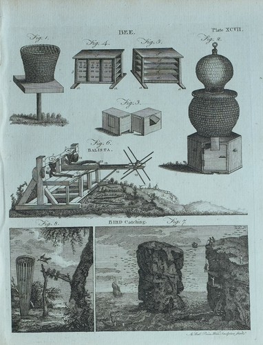 1783 original imprimé abeille - original,