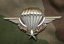 Insigne poitrine brevet - de,
