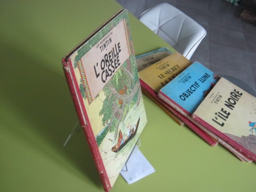 Tintin oreille cassee dos - l,