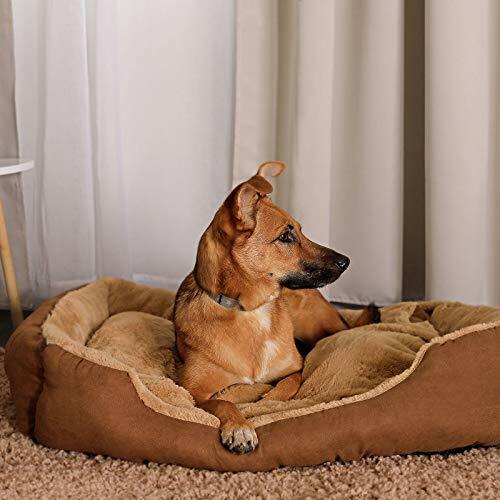 Lit couchage coussin chien - lit,