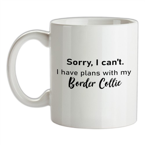 Have plans avec border - have,