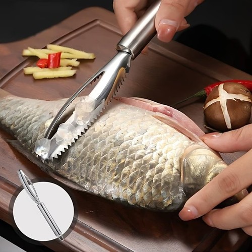 écailleur poisson inox - inox, anti