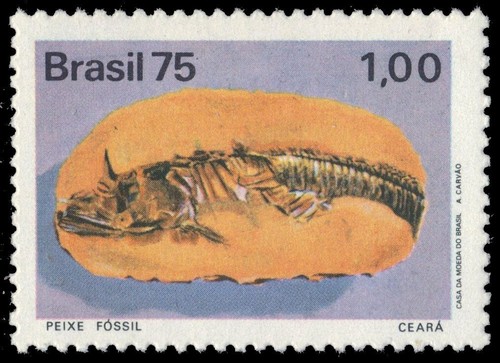 Brazil 1400 paleontology - paleontology,