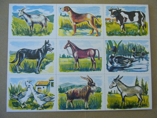 Planche images récompenses - planche,