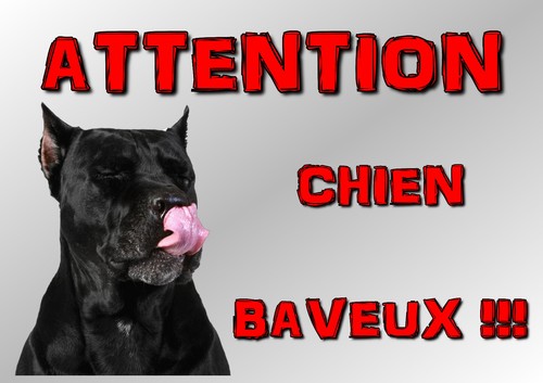 Plaque attention chien - attention, cane
