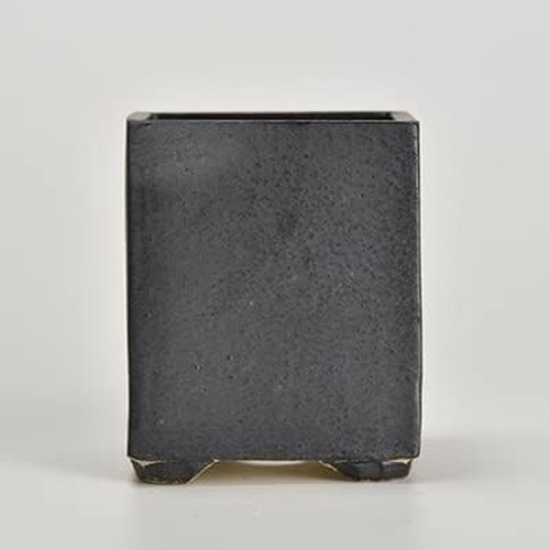Bonsaï pot merveille noir - merveille,