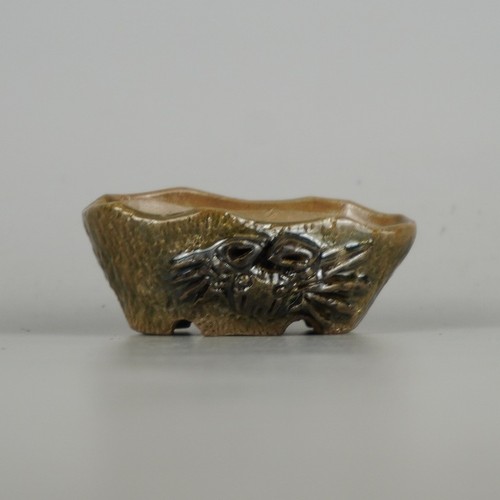 Pot bonsaï japonais - bonsaï, takudo