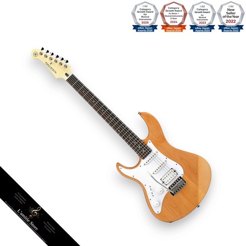 Guitare électrique gauche