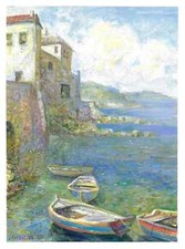 magnifique paysage côtier