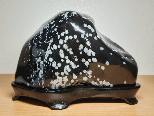 Suiseki bonseki bonsaï jardin - suiseki,