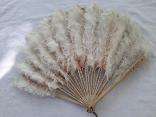 Rare eventail ancien plume - rare,