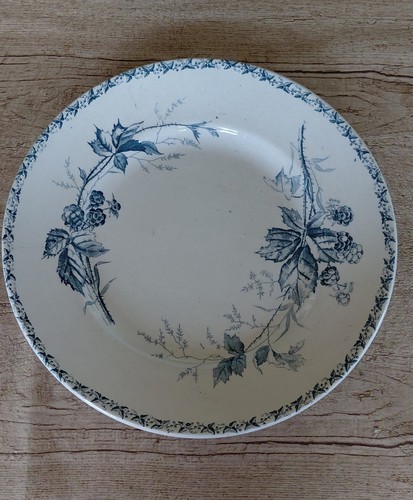 Plat creux badonvilliers - creux, tf